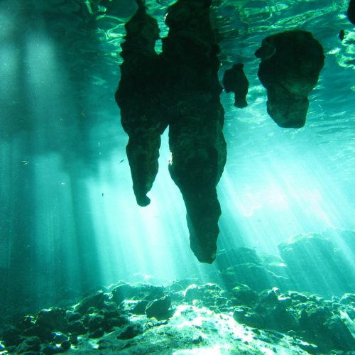 The Mayan Reef Snorkel Adventure 2