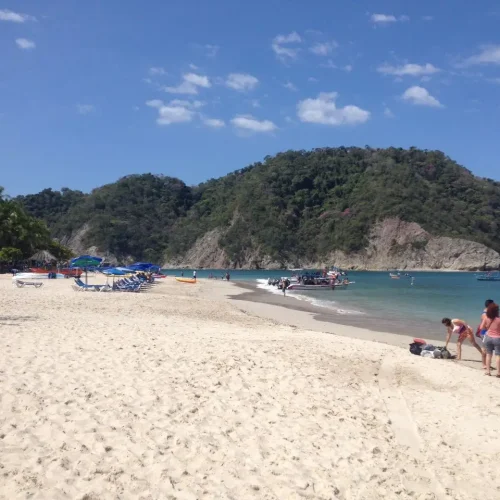 Tortuga-4