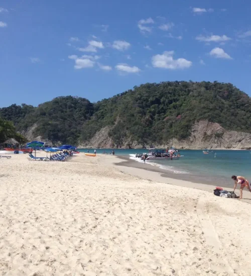 Tortuga-4