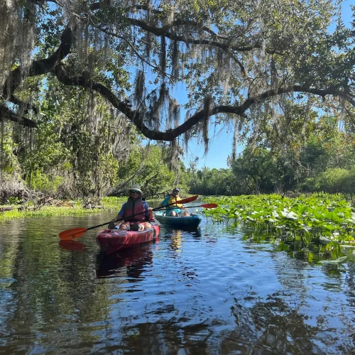 Wekiva-River1
