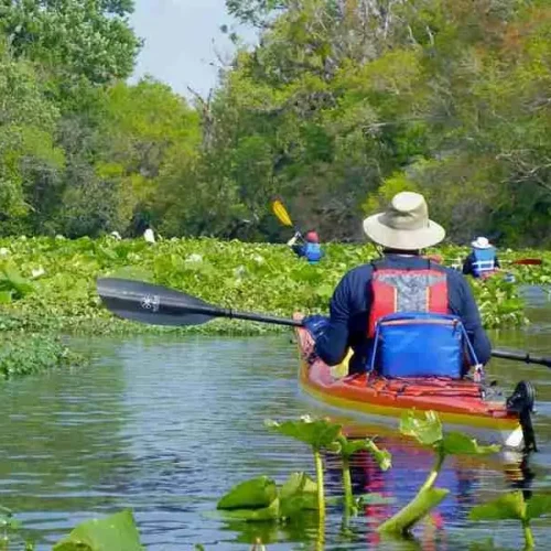Wekiva-River2