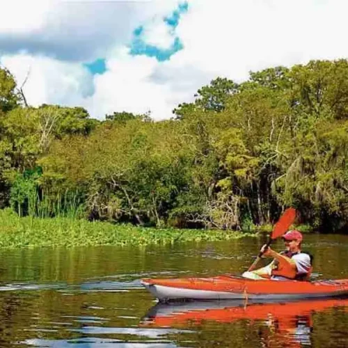 Wekiva-River3