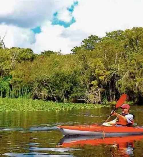 Wekiva-River3
