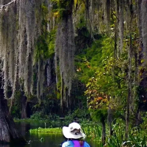 Wekiva-River5