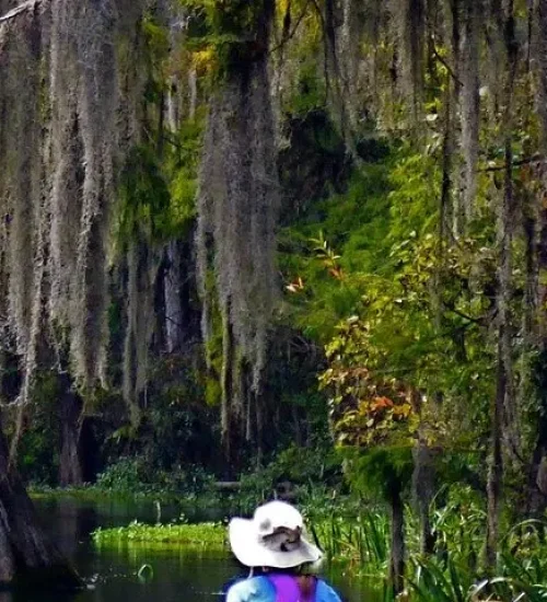 Wekiva-River5