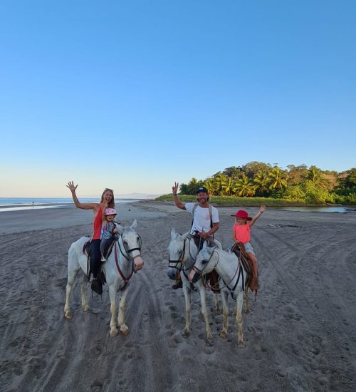 Equitación Santa Teresa