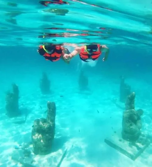 WhatsApp-Image-2026-06-04-at-9.01.11-PM