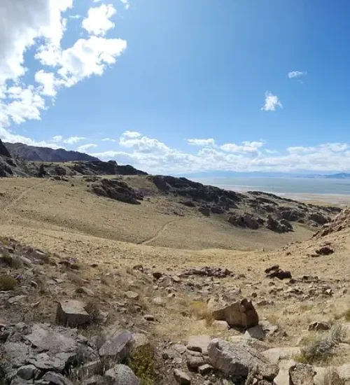 aebdab8e-f923-45bf-9c22-ba8ee5558f2a_Darren_Antelope_3_viatorpic_lg