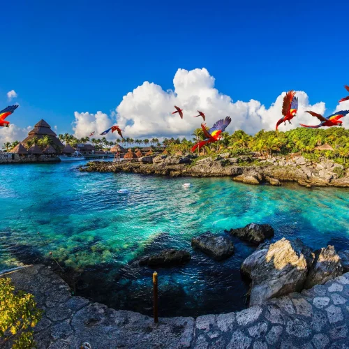 aerea-xcaret-01