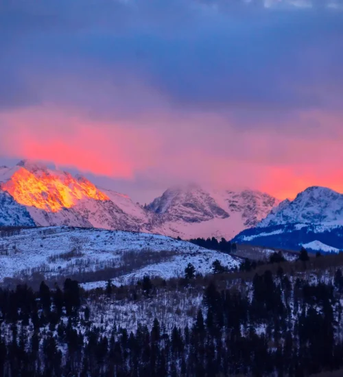 c7693710-8c12-4978-bd12-d6360de3f37a_ndbsHvKTFiXxP0zwBgeA