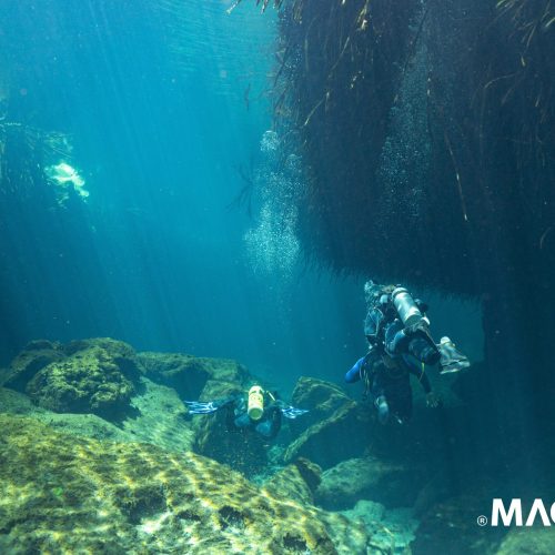 casa-cenote-pablosky.mx_