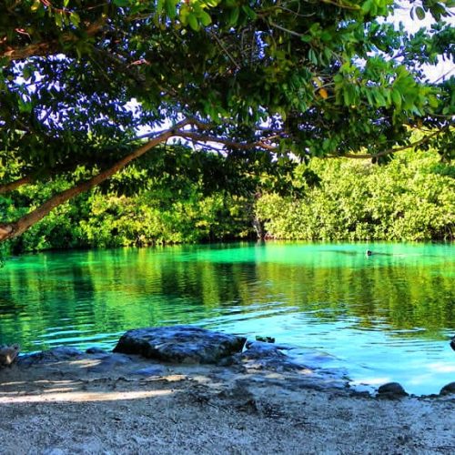 cenote-manati-hero