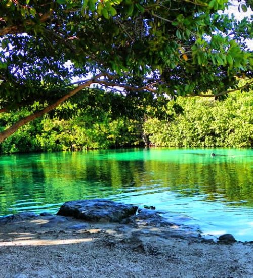 cenote-manati-hero