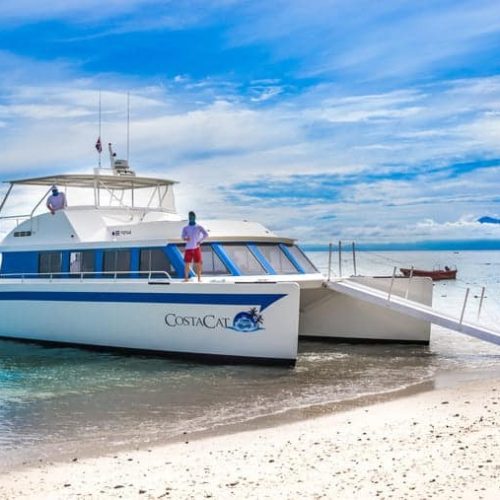 costa-cat-tortuga-island-private-tours-cpublic-tour-3
