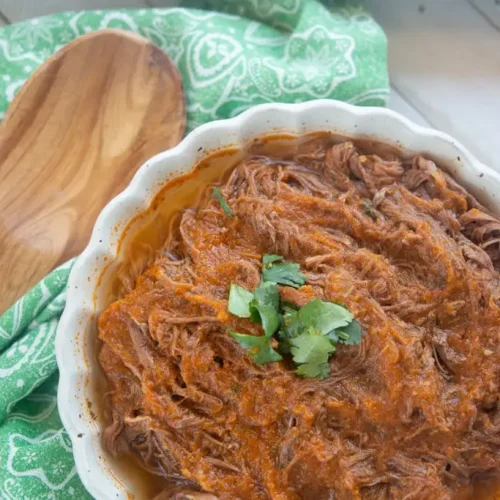 costa-rican-carne-en-salsa