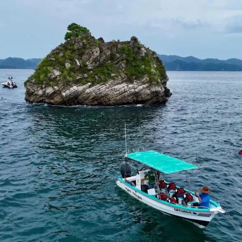 dji_fly_20250803_141548_0394_1754280756177_photo