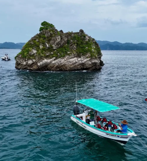 dji_fly_20250803_141548_0394_1754280756177_photo