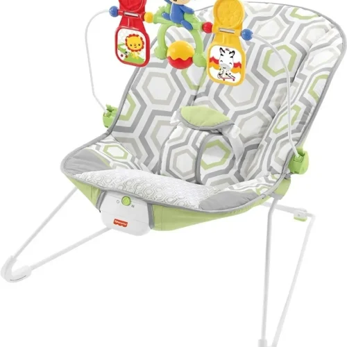 f0723e76-ae91-4b0e-8407-48d90012912d-bouncy_chair