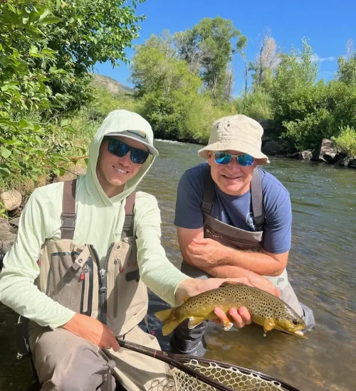 fish4