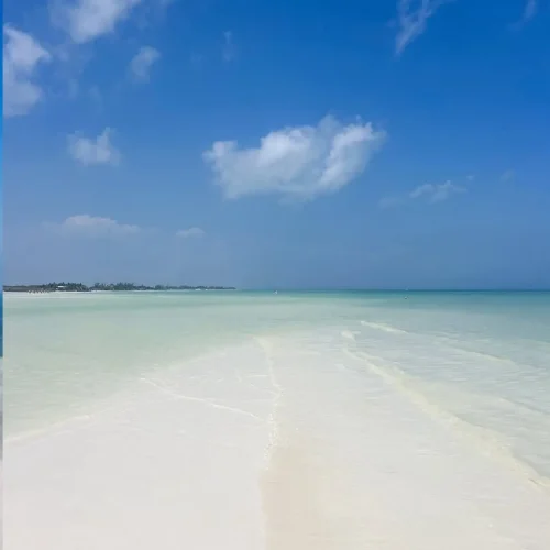 Isla Holbox â€” tropical beach scenery on private guided tour