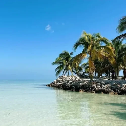 Private tour to Holbox Island â€” scenic coastal views