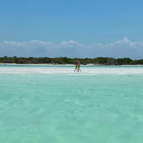 Isla Holbox beach â€” crystal-clear Caribbean waters on private day tour
