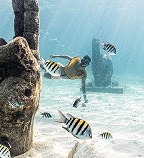 interno-reef-3