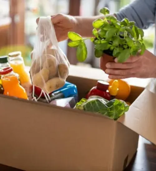 istockphoto-1221455039-612x612-1