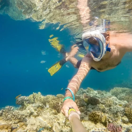 mexican-caribbean-snorkeling-tour41