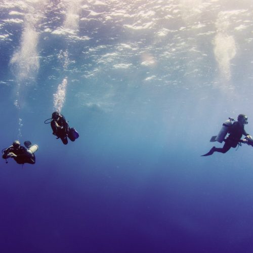 tortuga-island-scuba-diving