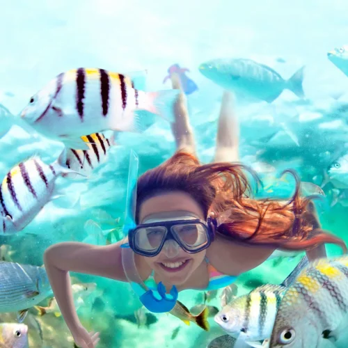 snorkel