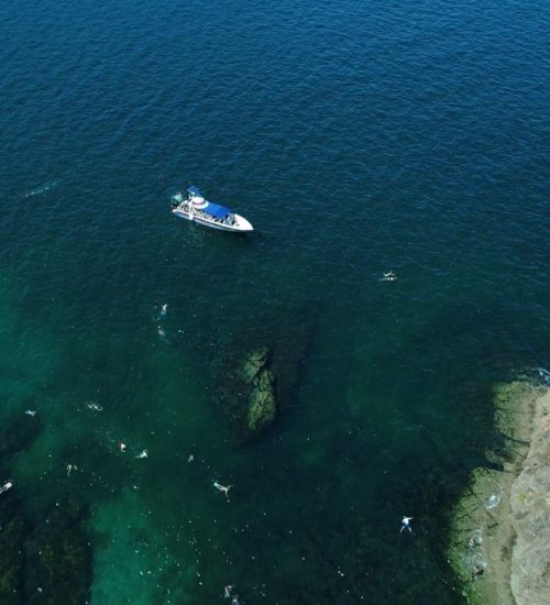 zuma tours tortuga tour 2
